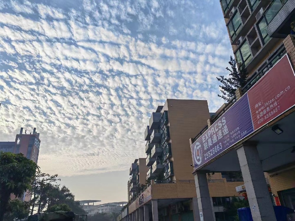 郵政快遞行業(yè)發(fā)出通知 要求全力做好6.18快遞服務保通保暢工作